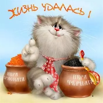 Полный 5D Diy Алмазная картина Богатый кот Алмазная вышивка Крестом Домашний декор Подарок ручной работы 25x25cm