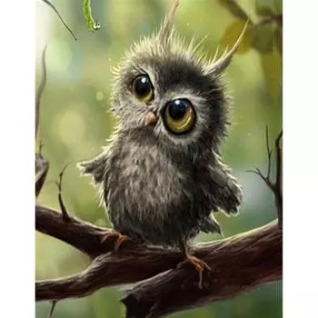 Полный 5D Diy Алмазная картина Большие глаза Маленькая птичка Вышивка Крестом Домашний декор Подарок ручной работы 25x30cm