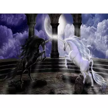 Полный 5D Diy Алмазная картина Черно-белый Единорог Вышивка Крестом Домашний Декор Ручная работа 25x30cm