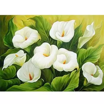 Полный 5D Diy Алмазная картина Цинсю Цветок лилии Вышивка крестом Домашний декор Подарок ручной работы 25x30cm