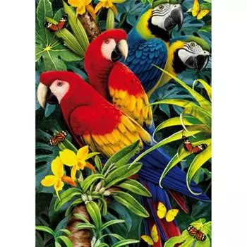 Полный 5D Diy Алмазная картина Цвет Попугай Вышивка Крестом Домашний Декор Ручной Подарок 25x30cm