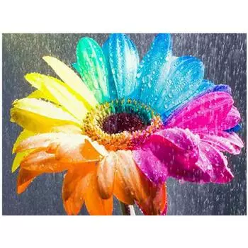 Полный 5D Diy Алмазная картина Цветной цветок Алмазная вышивка Крест Стежок Главная Декор Ручной подарок 25x30cm