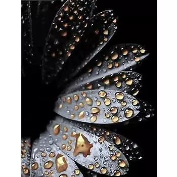 Полный 5D Diy Алмазная картина Цветок Росинка Мозаика Вышивка Крестом Домашний Декор Ручной Подарок 25x30cm