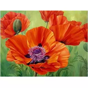 Полный 5D Diy Алмазная картина Цветущий красный цветок Вышивка крестиком Домашний декор Подарок ручной работы 25x30cm