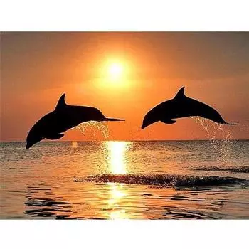 Полный 5D Diy Алмазная картина Дельфин Дайвинг Алмазная вышивка Крестом Домашний декор Подарок ручной работы 25x30cm