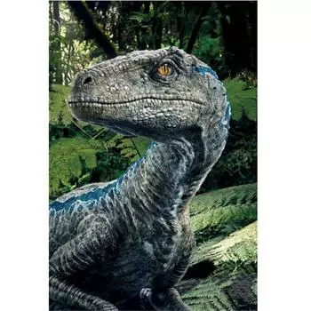 Полный 5D Diy Алмазная картина динозавр Алмазная вышивка Полный набор аниме Наборы для вышивки крестом Домашний декор Подарок ручной работы Round 20x30cm