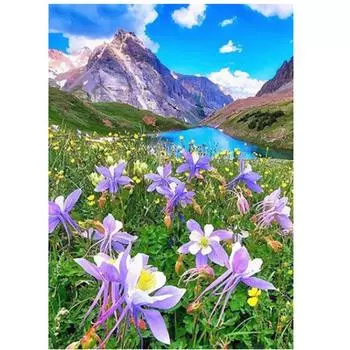Полный 5D Diy Алмазная картина Долина цветок пейзаж Вышивка крестиком Домашний декор ручной работы 25x30cm