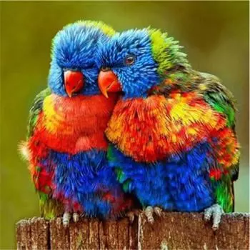Полный 5D Diy Алмазная картина Два цветных попугая Вышивка крестом Домашний декор Подарок ручной работы 25x25cm