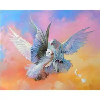 Полный 5D Diy Алмазная картина Два голубя Вышивка Крестом Домашний декор Ручной подарок Подарок 25x30cm