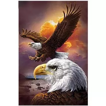 Полный 5D Diy Алмазная картина Два орла Вышивка Крестом Домашний декор Ручной подарок Подарок 20X25CM