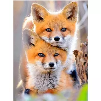 Полный 5D Diy Алмазная картина Два желтых щенка Вышивка крестом Домашний декор Подарок ручной работы 20X25CM