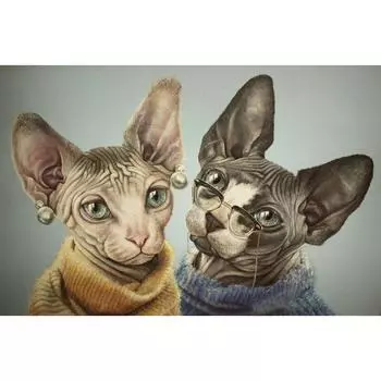 Полный 5D Diy Алмазная картина Два животных кошки Вышивка крестом Домашний декор Подарок ручной работы 25x30cm