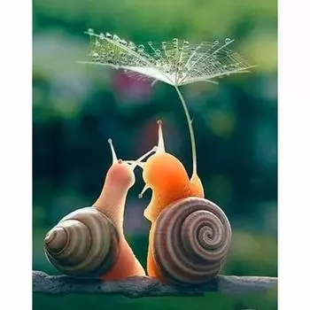 Полный 5D Diy Алмазная картина Две милые улитки Мозаика Вышивка Крестом Домашний декор Подарок ручной работы 20X25CM