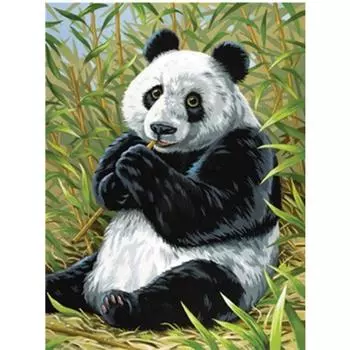Полный 5D Diy Алмазная картина Еда бамбука Панда Вышивка Крестом Домашний Декор Подарок ручной работы 25x30cm
