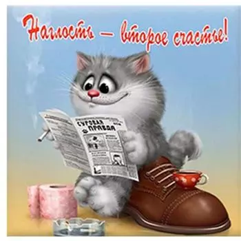 Полный 5D Diy Алмазная картина Газета Кот Алмазная вышивка Наборы для вышивки крестом Домашний декор Подарки ручной работы Round 25x25cm