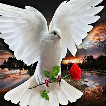 Полный 5D DIY Алмазная картина голубь Алмазная вышивка Набор для вышивки крестом Горный хрусталь Домашний декор Подарок 25x25cm