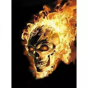 Полный 5D Diy Алмазная картина Горящий череп Алмазная вышивка Полный лежал вышивка крестом Домашний декор Подарок ручной работы 20x30cm