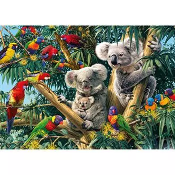 Полный 5D Diy Алмазная картина Коала и попугай Вышивка крестиком Домашний декор Подарок ручной работы 25x30cm