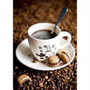 Полный 5D Diy Алмазная картина Кофейная мозаика Алмазная вышивка Крестом Домашний декор Ручной подарок Подарок 25x30cm