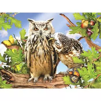 Полный 5D Diy Алмазная картина Кокетливая Сова Вышивка Крестом Домашний Декор Ручной Подарок 25x30cm