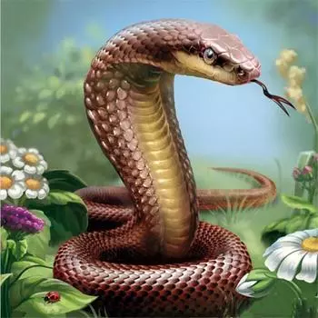 Полный 5D Diy Алмазная картина коса змея животное вышивка крестиком домашний декор подарок ручной работы 25x25cm