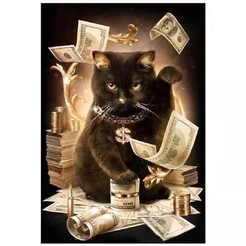 Полный 5D Diy Алмазная картина Кошка и деньги Вышивка крестиком Домашний декор Ручной подарок Подарок 20X25CM