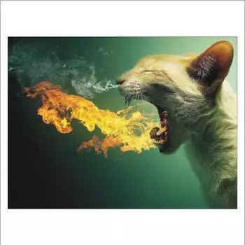 Полный 5D Diy Алмазная картина Кошка и Огонь Алмазная вышивка Полный вышивки крестом Домашний декор Подарок ручной работы 20x30cm