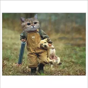 Полный 5D Diy Алмазная картина Кошка и собака Алмазная вышивка Полный вышивки крестом Домашний декор Подарок ручной работы 20x30cm