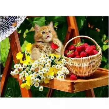 Полный 5D Diy Алмазная картина Кошка Клубника Вышивка Крестом Домашний Декор Ручной Подарок 25x30cm
