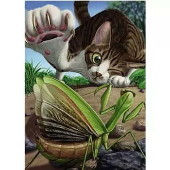 Полный 5D Diy Алмазная картина Кошки и насекомые Вышивка крестиком Домашний декор Подарок ручной работы 20X25CM