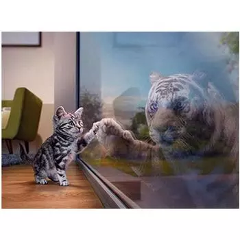 Полный 5D Diy Алмазная картина Кот и призрак тигра Вышивка крестом Домашний декор Подарок ручной работы 25x30cm