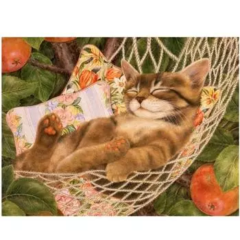 Полный 5D Diy Алмазная картина Кот в корзине Вышивка крестом Домашний декор Подарок ручной работы 25x30cm