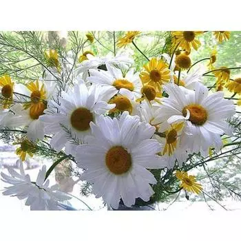 Полный 5D Diy Алмазная картина Красивые цветы Вышивка Крестом Домашний декор Ручной подарок Подарок 25x30cm