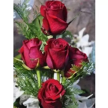 Полный 5D Diy Алмазная картина Красная роза Алмазная вышивка Полный набор аниме Наборы для вышивки крестом Домашний декор Подарок ручной работы 20x30cm