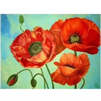 Полный 5D Diy Алмазная картина Красный цветок картина Вышивка крестиком Домашний декор Ручной подарок Подарок 25x30cm