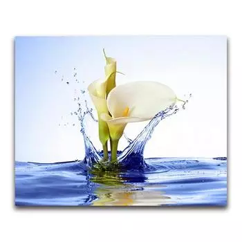 Полный 5D Diy Алмазная картина Красота лотоса Вышивка Крестом Домашний декор Ручной подарок Подарок 25x30cm