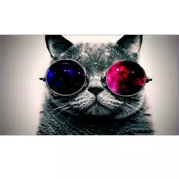 Полный 5D Diy Алмазная картина Крутые солнцезащитные очки кошка Вышивка крестиком Домашний декор Подарок ручной работы 25x30cm
