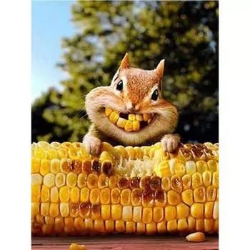 Полный 5D Diy Алмазная картина Крыса Кукуруза Алмазная вышивка Полный лежал вышивка крестом Домашний декор Подарок ручной работы 20x30cm