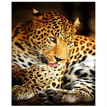 Полный 5D Diy Алмазная картина леопардовая вышивка крестиком домашний декор ручной подарок 20X25CM