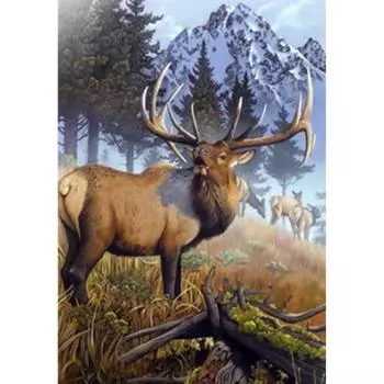 Полный 5D Diy Алмазная картина Лесной лось Вышивка Крестом Домашний декор Ручной подарок Подарок 20X25CM
