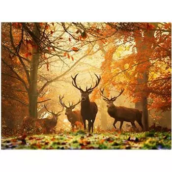 Полный 5D Diy Алмазная картина Лесной олень Алмазная вышивка Крестом Домашний декор Подарок ручной работы 25x30cm