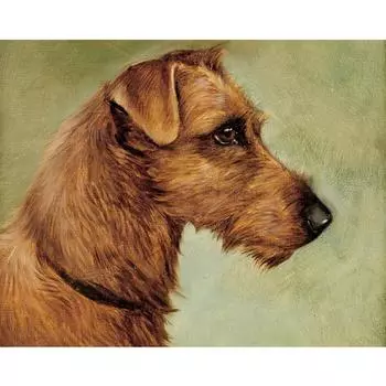 Полный 5D Diy Алмазная картина Лояльный щенок Алмазная вышивка Полный лежал вышивка крестом Домашний декор Подарок ручной работы 20x30cm