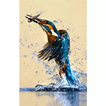 Полный 5D Diy Алмазная картина Ловля рыбы Вышивка Крестом Домашний декор Ручной подарок Подарок 25x30cm