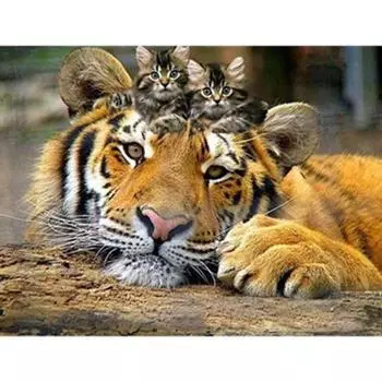 Полный 5D Diy Алмазная картина Мать-Тигр и ребенок-тигр Вышивка крестиком Домашний декор ручной работы 25x30cm