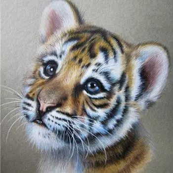 Полный 5D Diy Алмазная картина Меланхолия Маленький тигр Вышивка Крестом Домашний декор Ручная работа 25x25cm