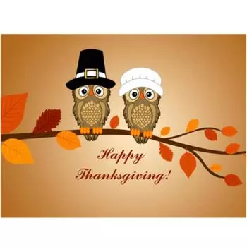 Полный 5D Diy Алмазная картина Милая сова Мультфильм Вышивка Крестом Домашний Декор Подарок ручной работы 25x30cm