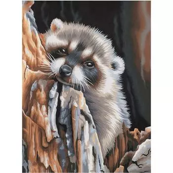 Полный 5D Diy Алмазная картина Милый енот Вышивка Крестом Домашний декор Ручной подарок Подарок 25x30cm