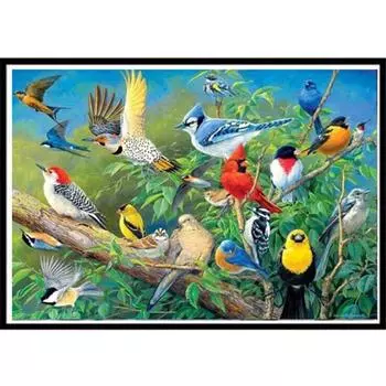 Полный 5D Diy Алмазная картина Множество милых птиц Вышивка крестиком Домашний декор Подарок ручной работы 25x30cm
