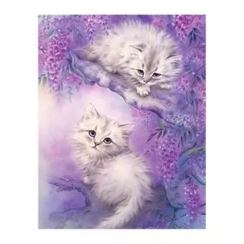 Полный 5D Diy Алмазная картина Молодой белый кот Вышивка крестом Домашний декор Подарок ручной работы 25x30cm