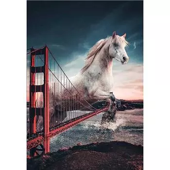 Полный 5D Diy Алмазная картина Мост Хакуба Алмазная вышивка Полный лежал вышивка крестом Домашний декор Подарок ручной работы 20x30cm